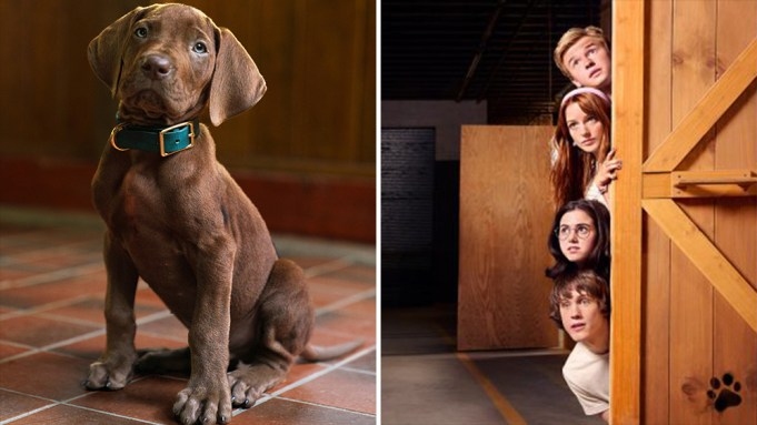 Netflix công bố hình ảnh đầu tiên của Scooby trong series live-action Scooby-Doo: Origins dự kiến phát hành năm 2027.